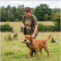 The Gundog Coach T-Shirt